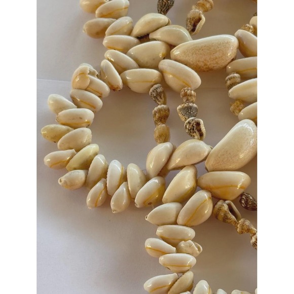 Late 20th Century Natural Cowrie Shell Wall Decor - Picture 7 of 8